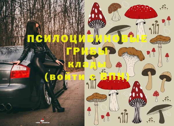 соль курить ск Няндома