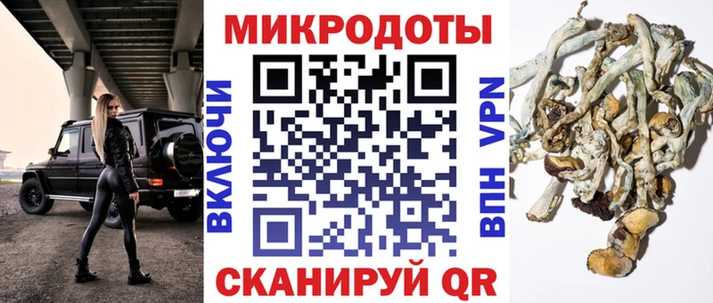наркотики  Плёс  МЕГА tor  Псилоцибиновые грибы Psilocybine cubensis 